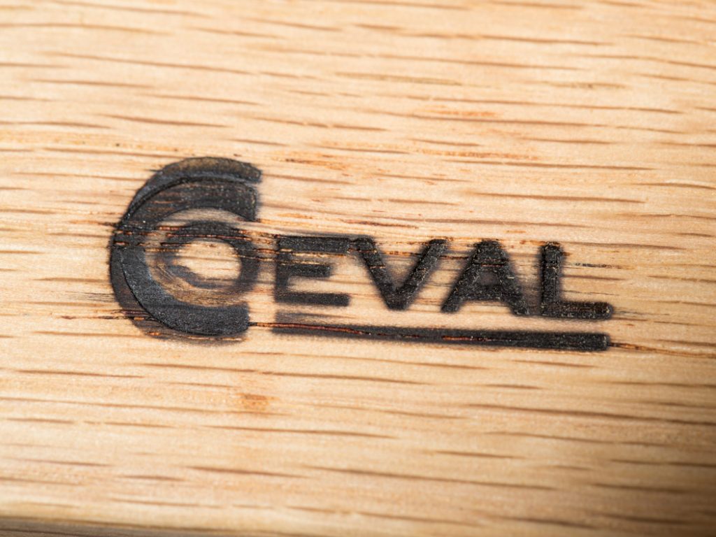 about-coeval-7
